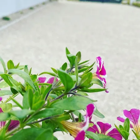 펜션 K&j Letniskowe Bedzino