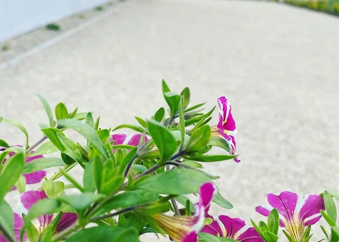 Дом отдыха K&j Letniskowe Bedzino